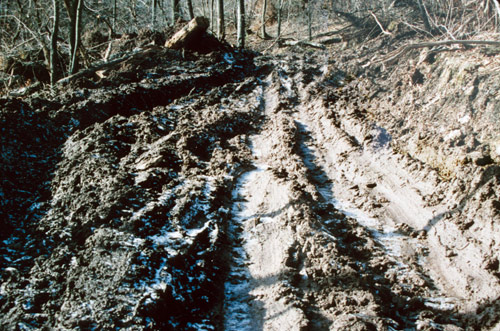 Eroded tracks left by the Helseling of Plummer's Hollow, winter of 1991-92