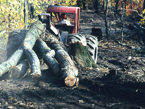 A Helsel skidder hauling logs out of Plummer's Hollow, 1991